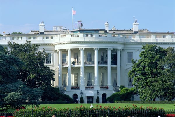 The UFC's Political Pivot